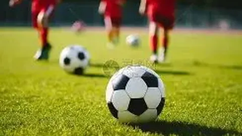 开宝体育 产品 102351 fxm