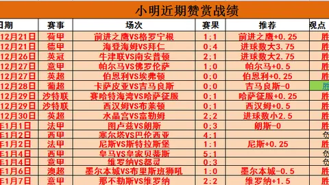 国羽亚团赛亚军不敌印尼 2025-02-18